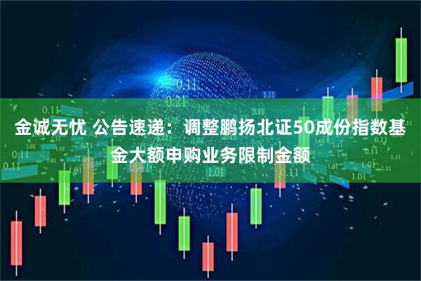 金诚无忧 公告速递：调整鹏扬北证50成份指数基金大额申购业务限制金额