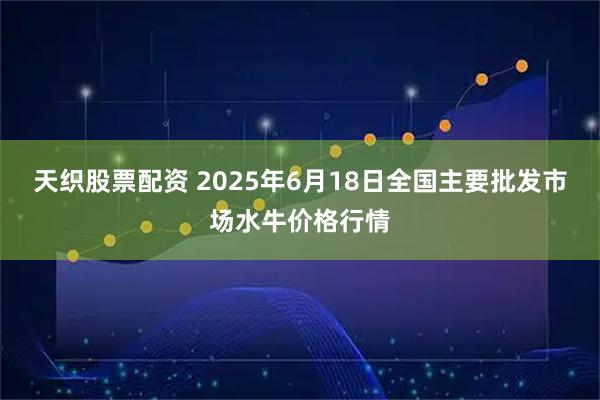 天织股票配资 2025年6月18日全国主要批发市场水牛价格行情