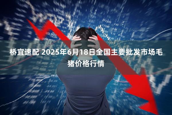 桥宜速配 2025年6月18日全国主要批发市场毛猪价格行情