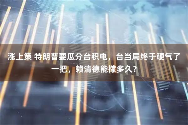 涨上策 特朗普要瓜分台积电，台当局终于硬气了一把，赖清德能撑多久？