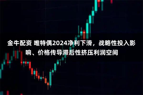 金牛配资 唯特偶2024净利下滑，战略性投入影响、价格传导滞后性挤压利润空间