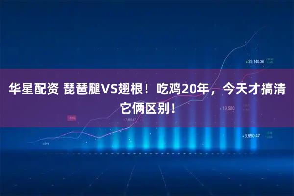 华星配资 琵琶腿VS翅根！吃鸡20年，今天才搞清它俩区别！