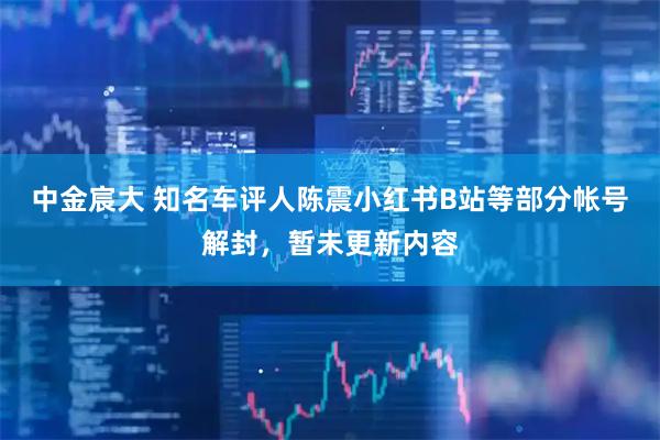 中金宸大 知名车评人陈震小红书B站等部分帐号解封，暂未更新内容