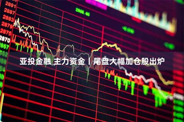 亚投金融 主力资金丨尾盘大幅加仓股出炉
