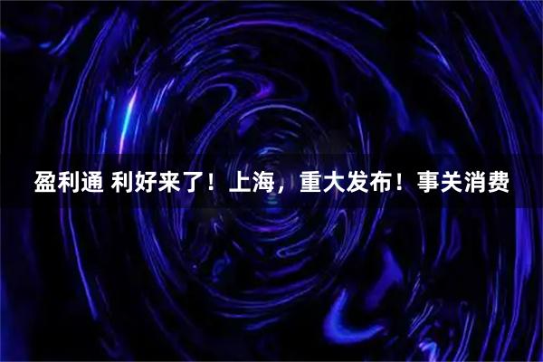 盈利通 利好来了！上海，重大发布！事关消费