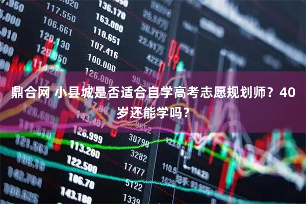 鼎合网 小县城是否适合自学高考志愿规划师？40岁还能学吗？